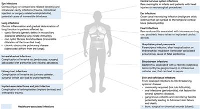 What Is New in the Anti–Pseudomonas aeruginosa Clinical Development Pipeline Since the 2017 WHO Alert?